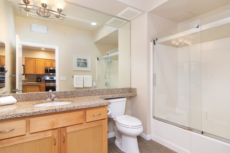 Shower-bathtub combo in the guest bathroom.