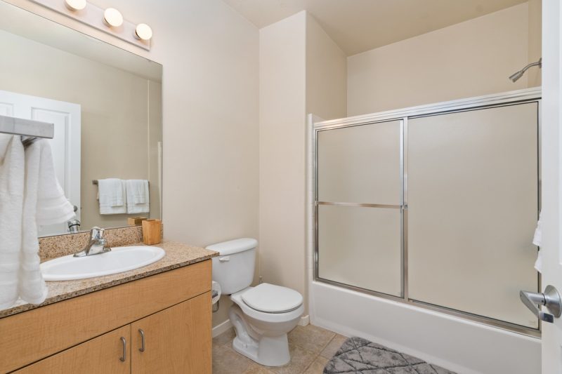 Combined shower-bathtub in the guest bathroom.