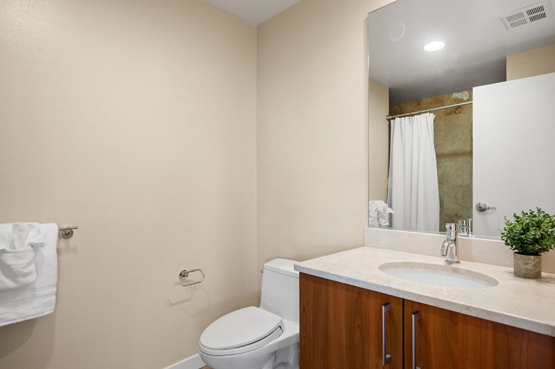 Alternate view of the guest bathroom.