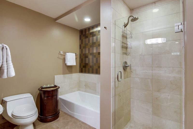 Freestanding bathtub and walk-in shower in the master bathroom.