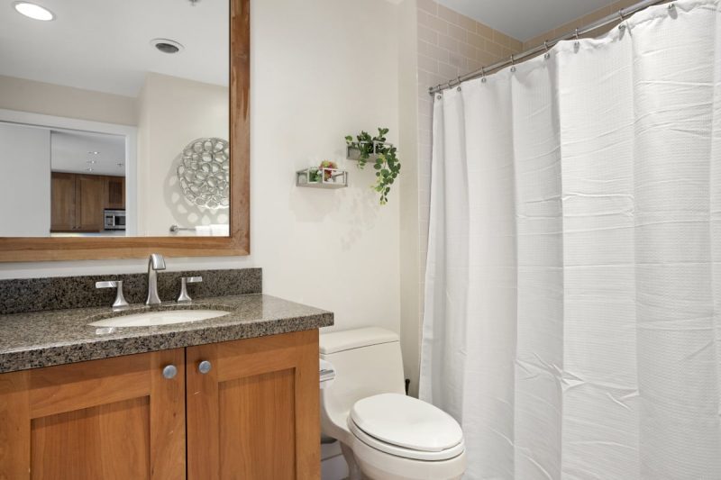 Guest bathroom with combined shower-bathtub.