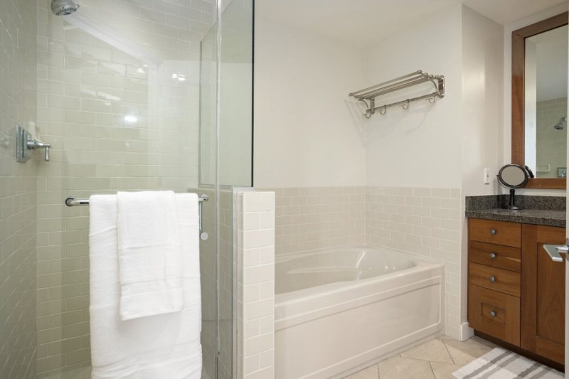 Walk-in shower, freestanding bathtub and dual sink vanity in the master bathroom.